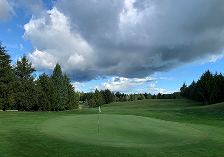 Photo of 9th green at Stone Creek Golf Club in Oswego, NY.